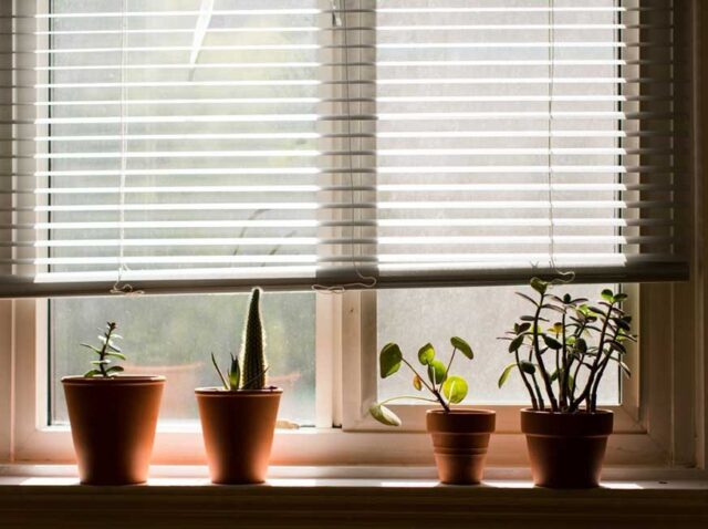 3 Indoor window blinds by Shades & Shutters enhancing natural light and privacy in modern Perth homes with stylish potted plants on the windowsill